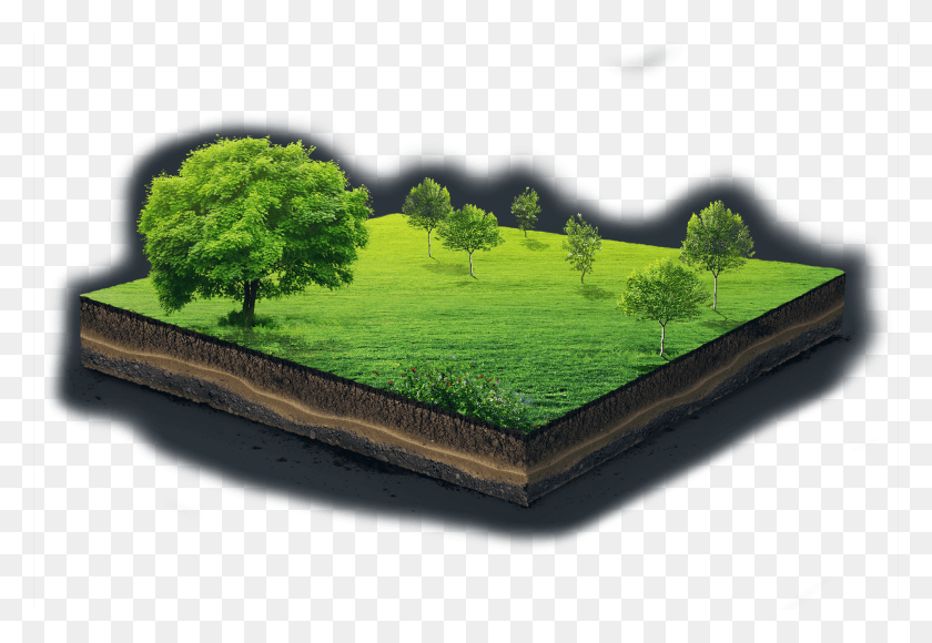 1920x1280 Adobestock 140253008 Tree, Landscape, Outdoors, Nature HD PNG Download