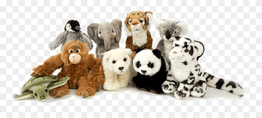 1000x410 Adopt An Animal Stuffed Toy, Giant Panda, Bear, Wildlife HD PNG Download