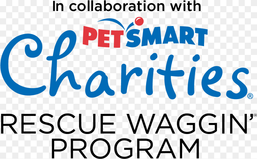 1239x768 Adoption Resources Petsmart Charities Of Canada, Text Transparent PNG