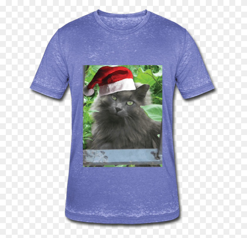 648x751 Adorable Russian Blue Cat Wearing A Santa Hat Maine Coon, Clothing, Apparel, Pet HD PNG Download