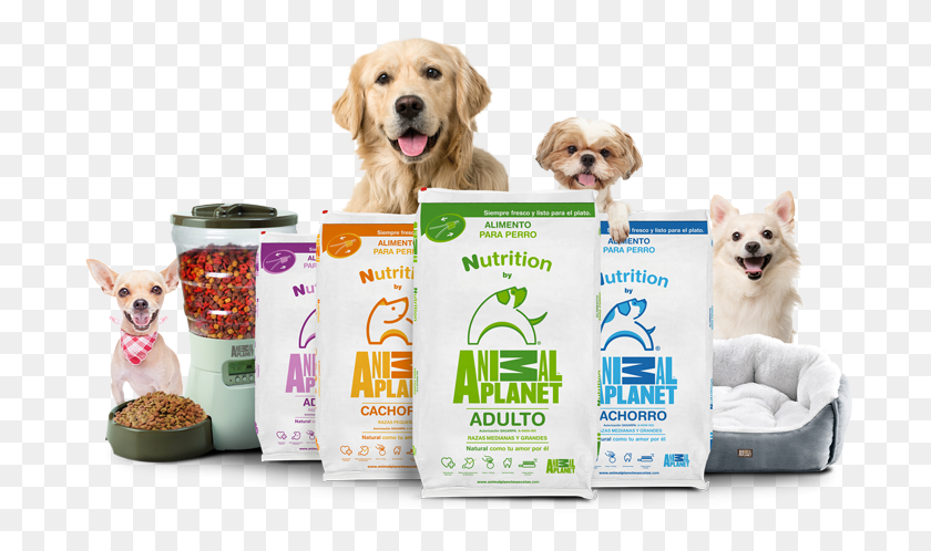 698x438 Adquiere Animal Planet Dog Food, Dog, Pet, Canine HD PNG Download