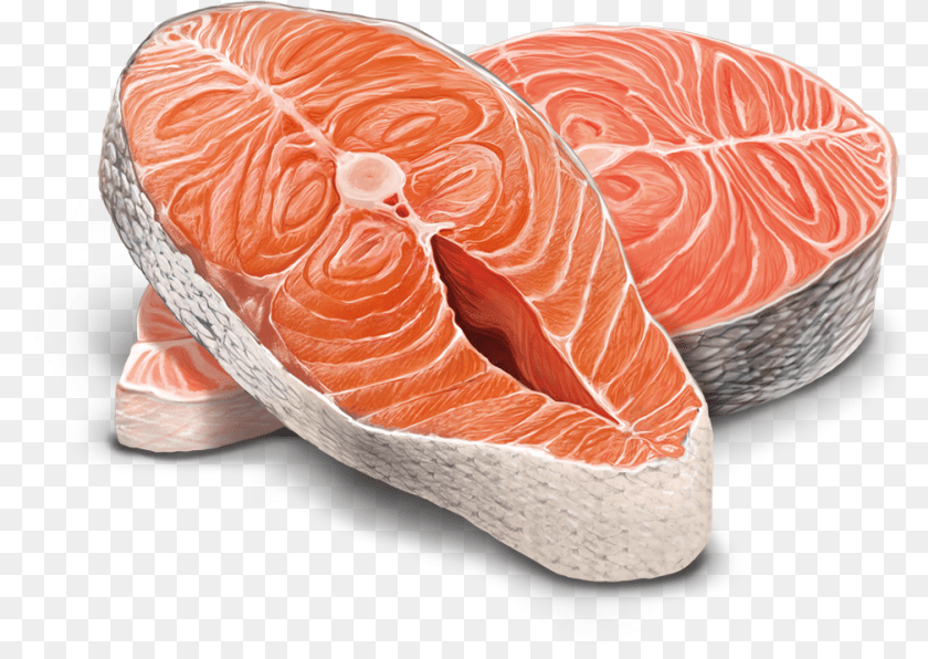 1009x716 Adult Cat Salmon Deluxe Biscuit, Food, Seafood, Meat, Pork PNG