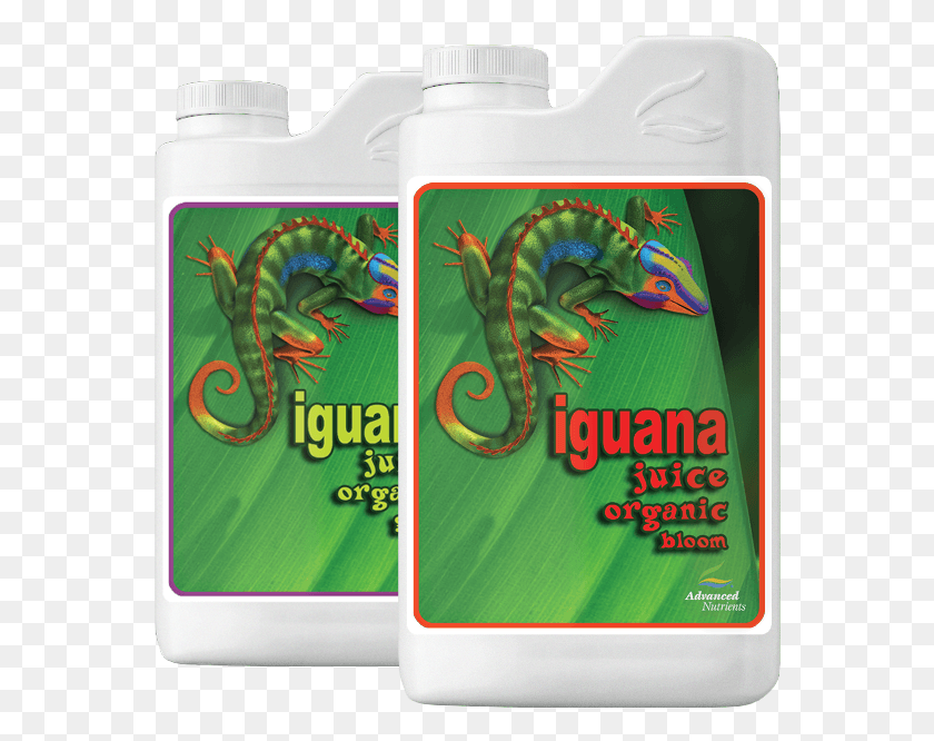 564x606 Advanced Nutrients Iguana Juice Bloom Grow 1l Advanced Nutrients, Bottle, Dragon, Flower HD PNG Download