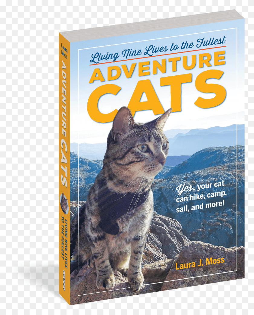 1854x2330 Adventure Cats Book HD PNG Download