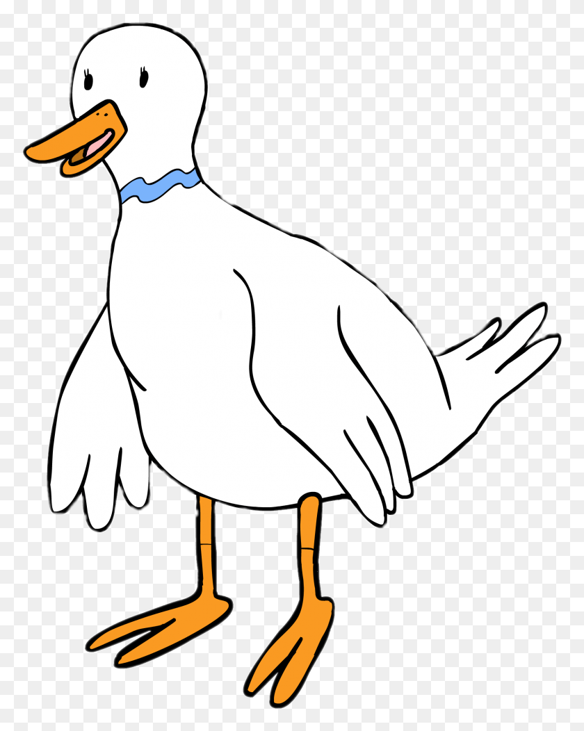 1626x2069 Adventure Time Boobafina The Duck Duck, Animal, Bird, Axe HD PNG Download