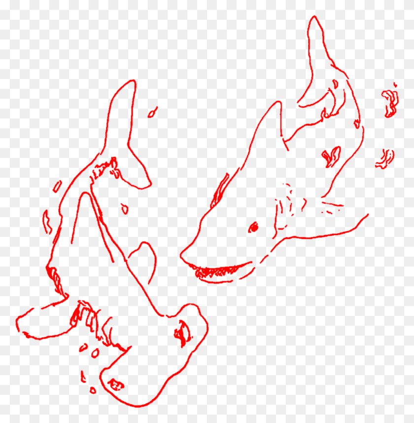 991x1013 Aesthetic Art Sketch Doodle Shark Sharks Lineart, Light, Pattern, Animal HD PNG Download