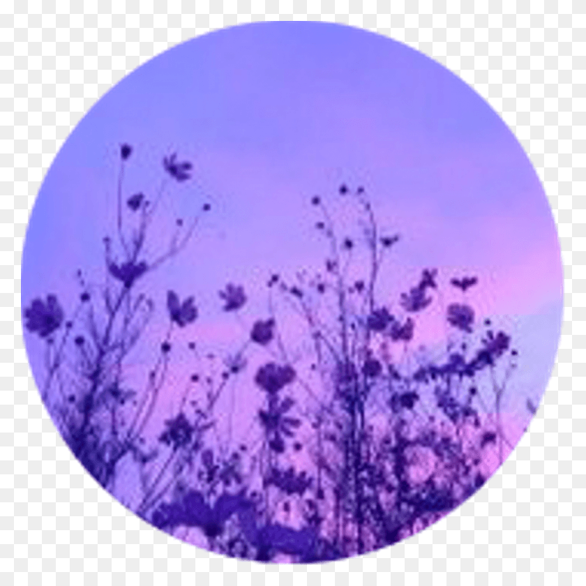 1024x1024 Aesthetic Circle Icon Purple Flowers Flower Purpleaesth, Pattern, Ornament, Fractal Descargar Hd Png