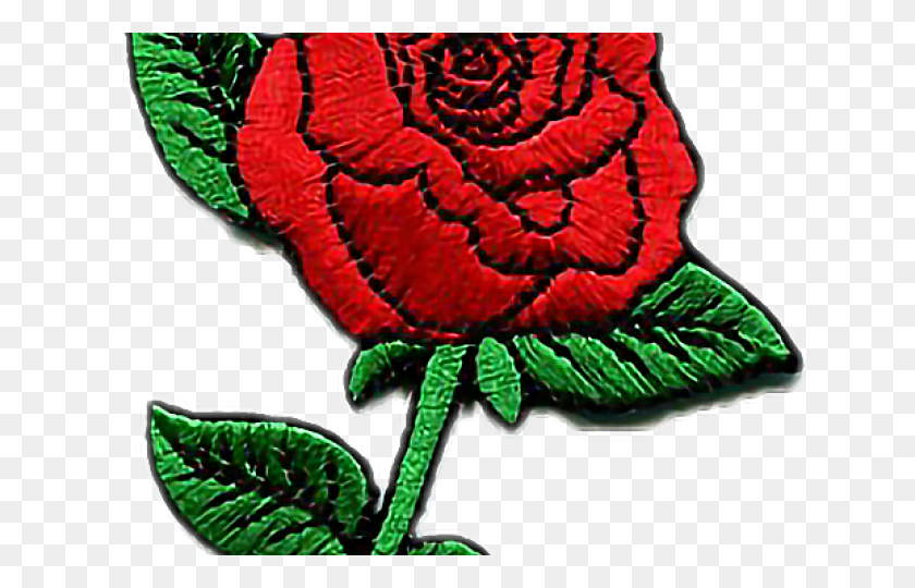640x480 Вышивка Розы, Растение, Гвоздика, Цветок Png Скачать