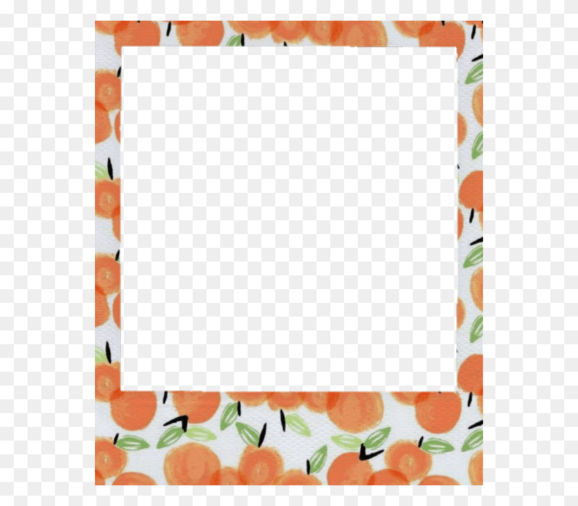564x675 Aesthetic Clipart Peach Cute Polaroid Frame Transparent, Plant, Rug HD PNG Download