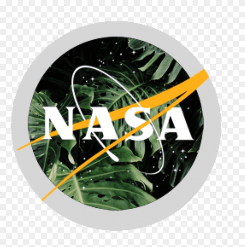 1267x1281 Aesthetic Nasa Logo, Plant, Tree, Outdoors HD PNG Download