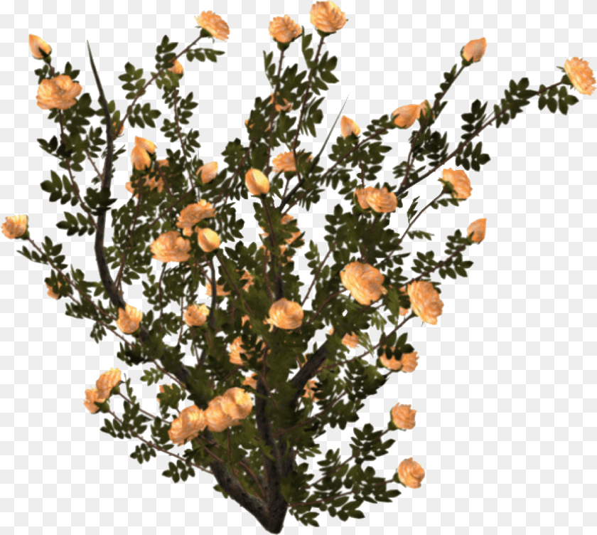 Aesthetic Plant Flower Bushes, Flower Arrangement, Chandelier, Flower Bouquet, Lamp PNG