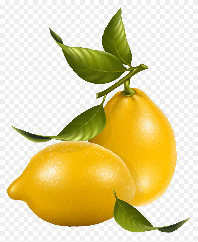 3578x4435 Af2ef 5f193004 Orig Limones Para Dibujar Realistas, Plant, Fruit, Food HD PNG Download