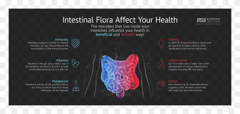 2002x875 Affecthealth Intestinal Flora Affects Your Health, Flyer, Poster, Paper HD PNG Download