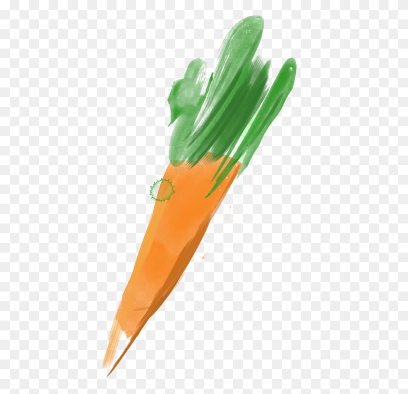 421x751 Морковь Морковь Морковь, Растение, Трава, Солнечный Свет Hd Png Скачать