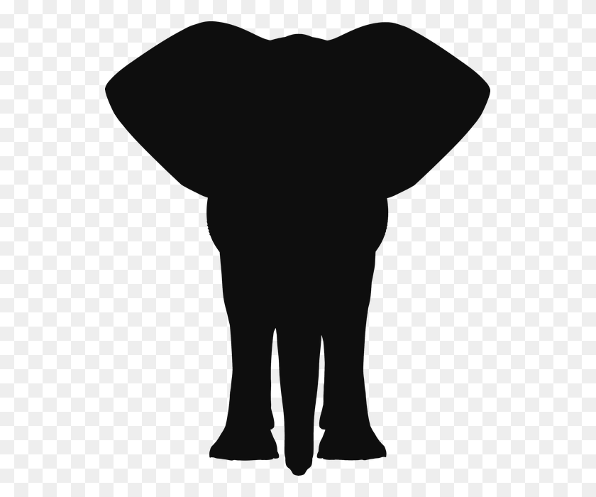 543x640 Африканское Животное Азиатский Слон Млекопитающее Толстокожий Силуэт Головы Слона, Человек, Человек Hd Png Скачать