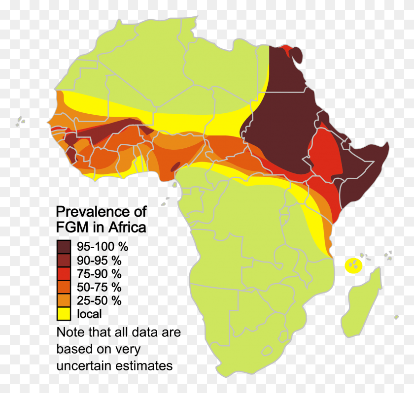 1583x1498 África Mapa De Nigeria Prevalencia Estimada De La Circuncisina Genital Femenina Porcentaje, Diagrama, Diagrama, Atlas Hd Png