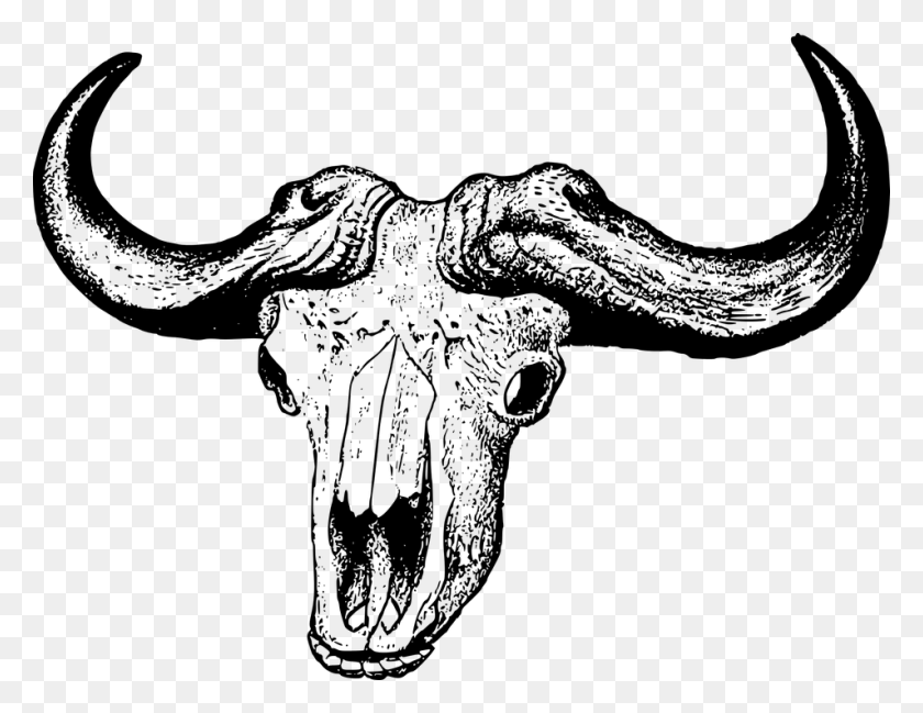 953x720 African Buffalo Clipart Buffallo African Buffalo Skull, Gray, World Of Warcraft HD PNG Download