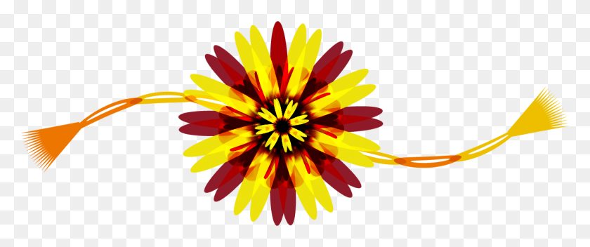 1284x481 African Daisy, Graphics, Floral Design HD PNG Download