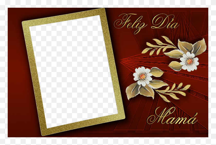 1000x647 African Daisy, Envelope, Mail, Greeting Card HD PNG Download