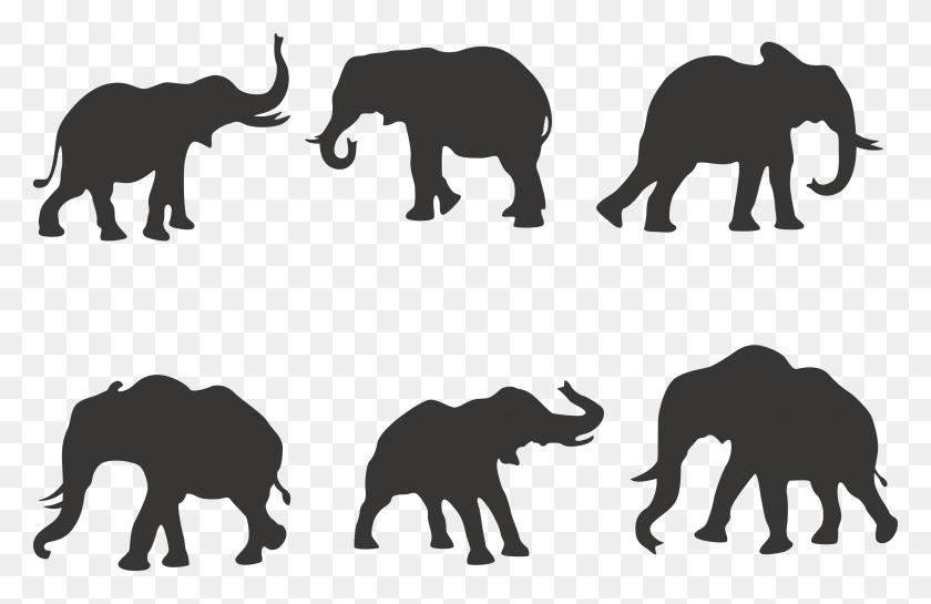 4943x3079 Силуэт Африканского Слона Индийский Слон 6 Слон, Животное, Млекопитающее Hd Png Скачать