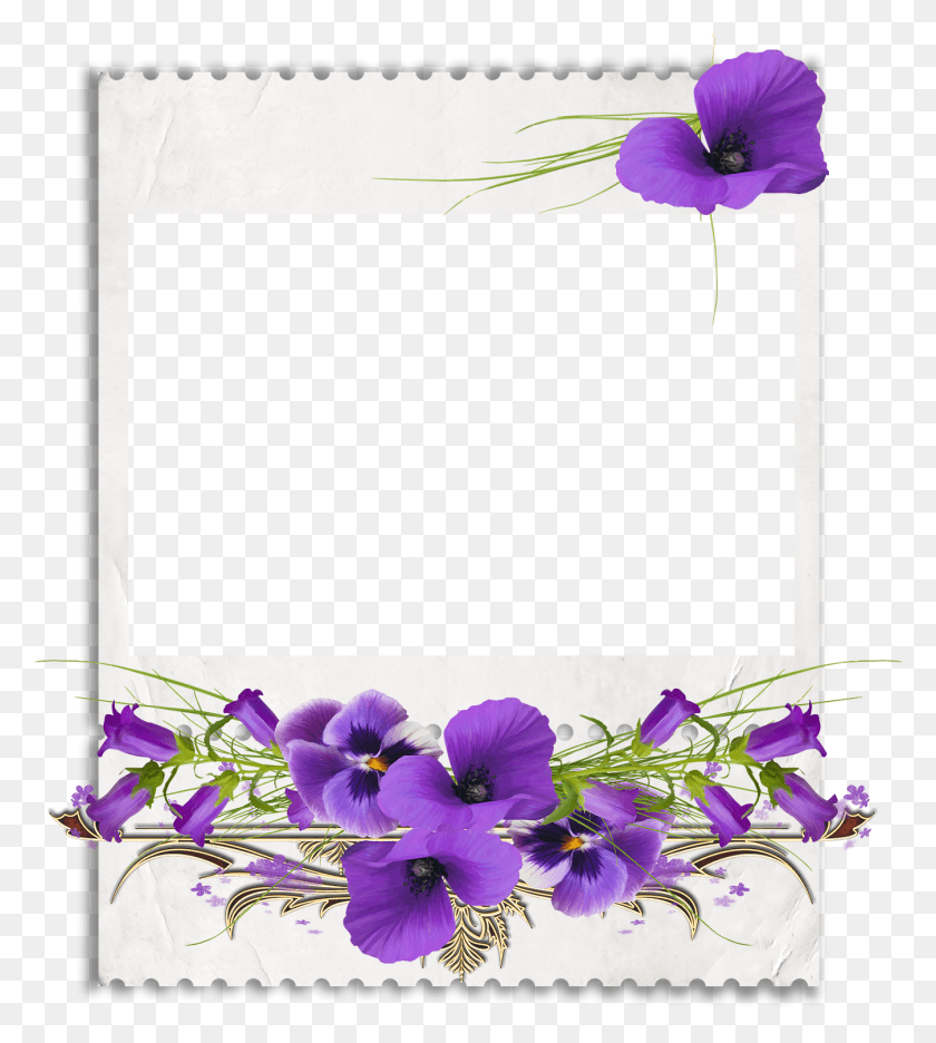 1348x1515 African Violets Clip Art Violetas Transparente, Plant, Flower, Petal HD PNG Download