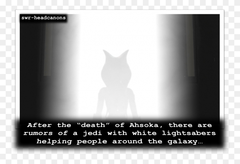 1280x847 After The Death Of Ahsoka There Are Rumors Of A Calculus Funny, Cat, Pet, Mammal HD PNG Download