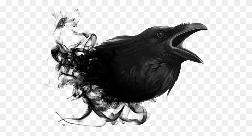 546x393 Afterdark Sticker Picsart Photo Studio, Bird, Animal, Crow HD PNG Download