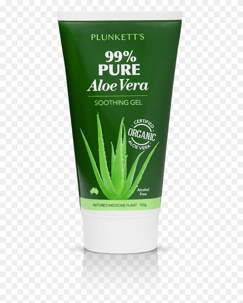 478x989 Agave, Aloe, Plant, Bottle HD PNG Download