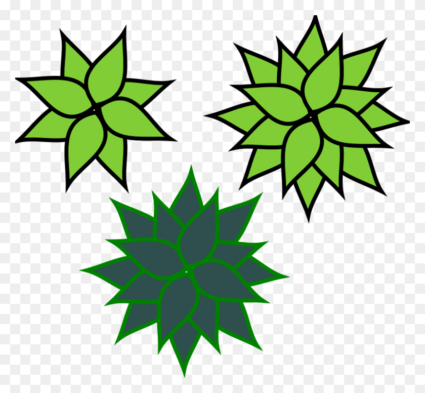 800x735 Agave Agave Plant Clip Art, Leaf, Symbol, Pattern HD PNG Download