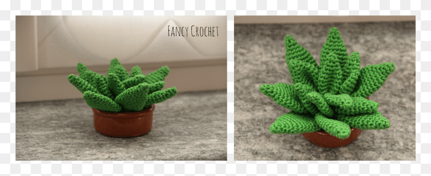 2250x822 Agave Cactus House Plants Crochet Cactus Faux Succulents Houseplant, Plant, Toy, Pot HD PNG Download