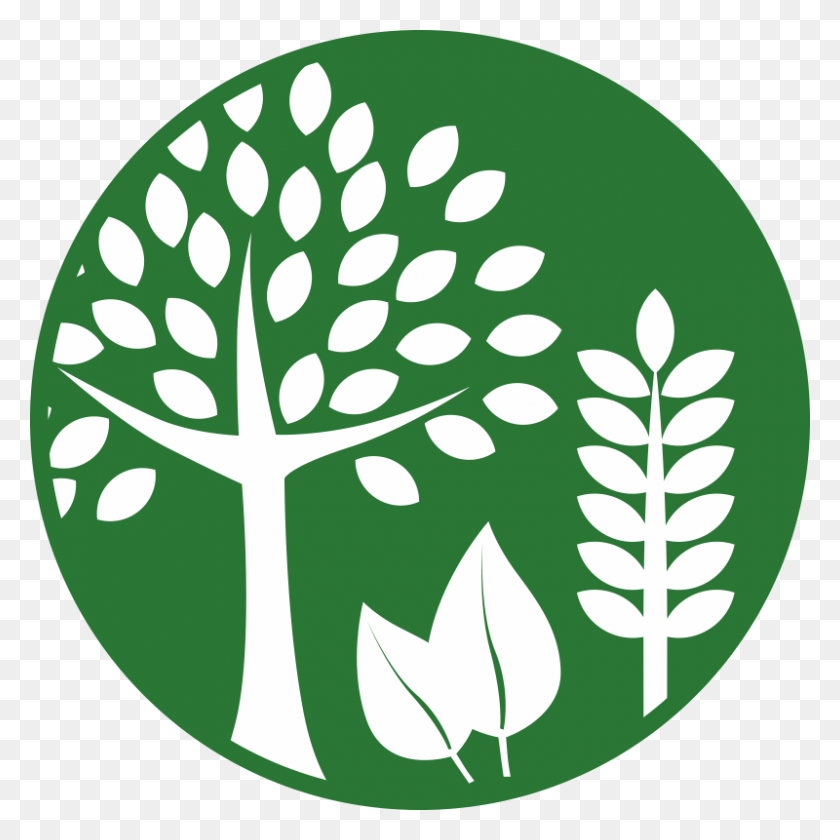 800x800 Agriculture Icon, Plant, Rug, Graphics HD PNG Download