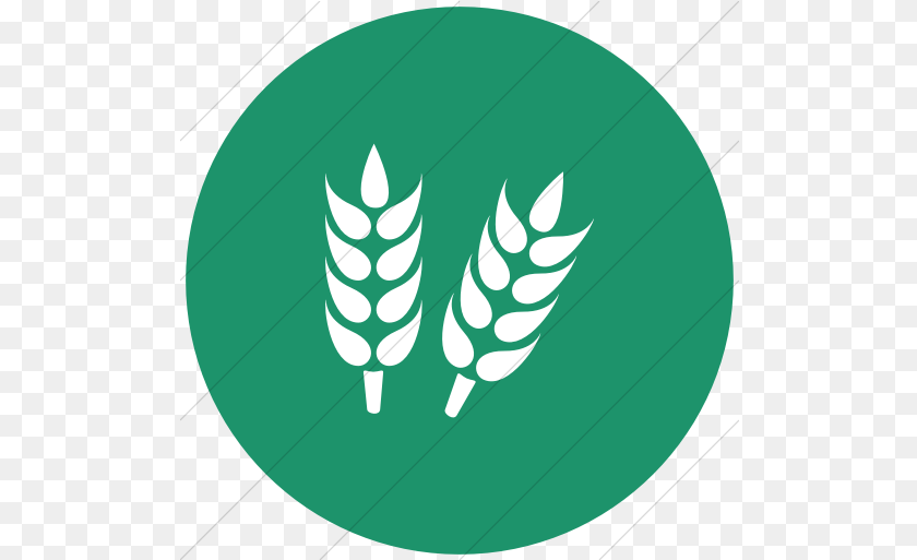 513x513 Agriculture Icon Gluten Logo Transparent, Leaf, Plant, Green PNG