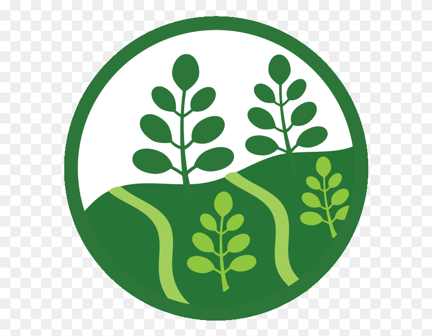 592x593 Agriculture Kuli Kuli Inc., Logo, Symbol, Trademark HD PNG Download