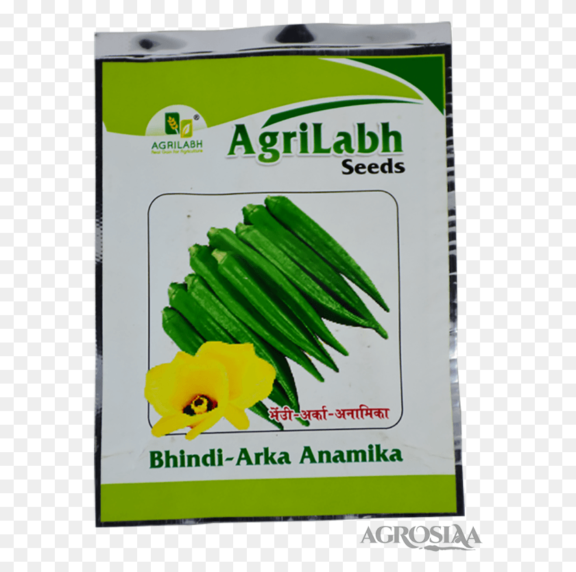 568x775 Agrilabh Pusa Nasdar Variety Of Ridge Gourd, Plant, Produce, Food HD PNG Download
