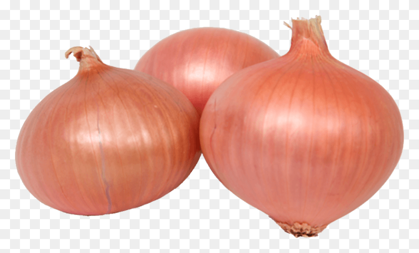 820x472 Agrocuna Daimiel Cebollas Red Onion, Plant, Shallot, Vegetable HD PNG Download