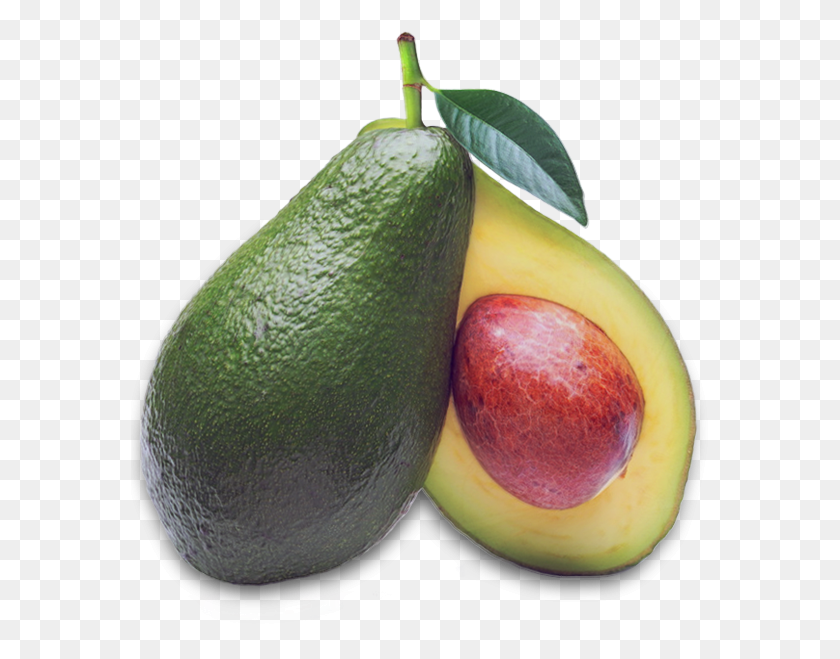 579x599 Aguacate Avocado, Plant, Pear, Fruit HD PNG Download