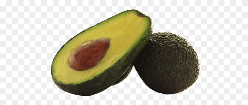 515x296 Aguacate Huerta Tropical Avocado, Plant, Fruit, Food HD PNG Download
