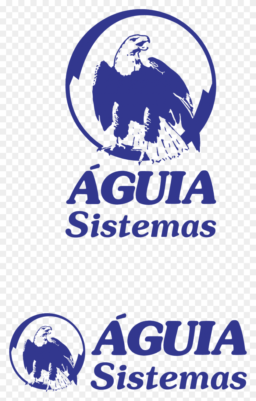 800x1284 Aguia Sistemas Векторный Плакат, Реклама, Логотип, Символ Hd Png Скачать