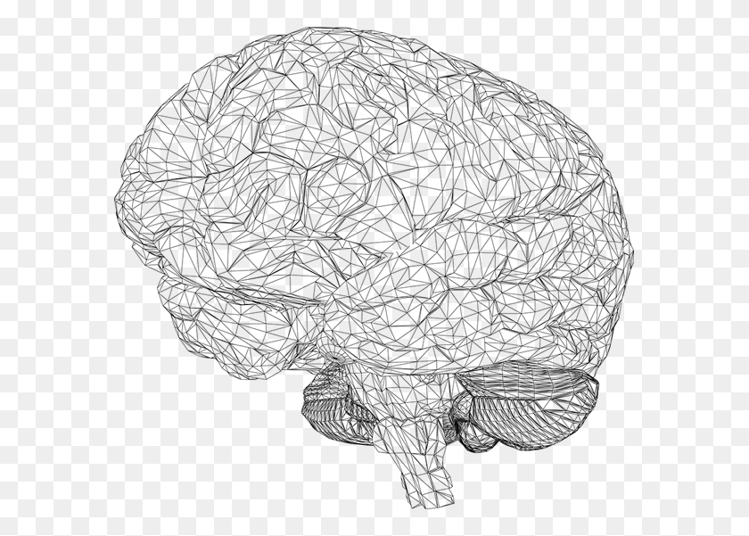 583x541 Мозг Искусственного Интеллекта Искусственный Интеллект Мозг Прозрачный, Серый, Мир Варкрафта Png Скачать