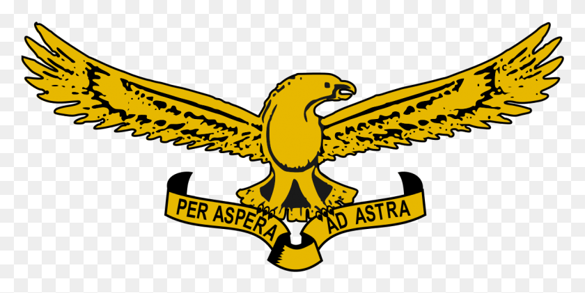 1143x530 Descargar Png / Logotipo De La Fuerza Aérea, Símbolo, Marca Registrada, Emblema Hd Png
