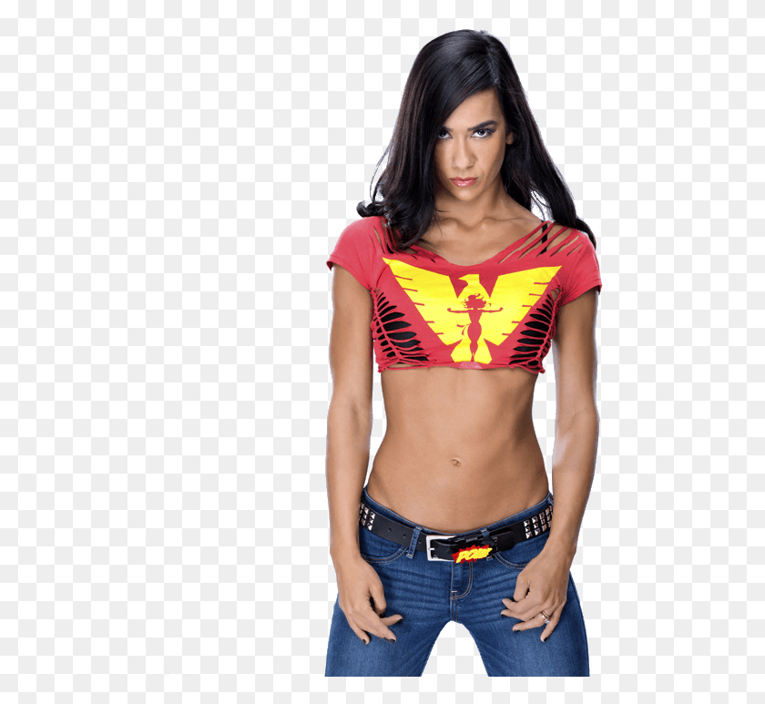 484x713 Aj Lee Png / Aj Lee Png