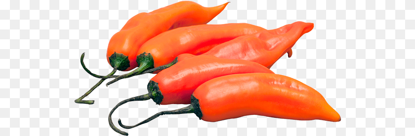 Aji Amarillo Peruvian Yellow Hot Pepper Tabasco Pepper, Produce, Food, Vegetable, Plant Clipart PNG
