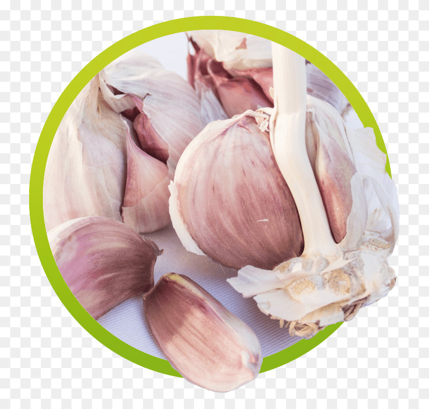 727x740 Ajo Garlic, Plant, Vegetable, Food HD PNG Download