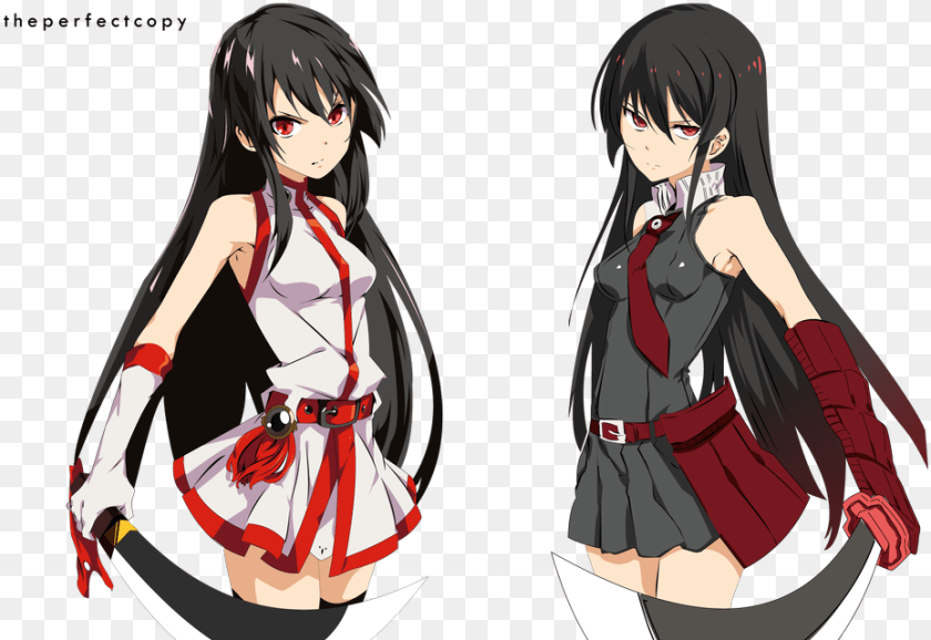 Akame Ga Kill, Publication, Book, Comics, Adult Clipart PNG