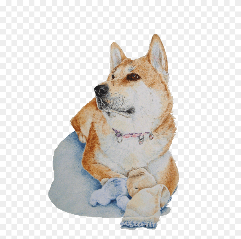 525x772 Akita And Teddy Portraite Companion Dog, Pet, Canine, Animal HD PNG Download