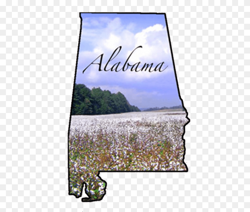 439x713 Alabama No Back Poster, Land, Nature, Outdoors, Plant Clipart PNG