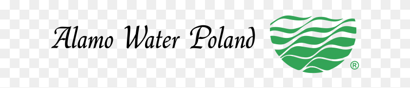 633x121 Alamo Water Poland Logo Pattern, Gray, World Of Warcraft HD PNG Download