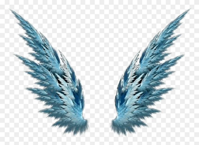788x560 Alas Asas Wings Blue Freedom Render Sayap, Bird, Animal HD PNG Download