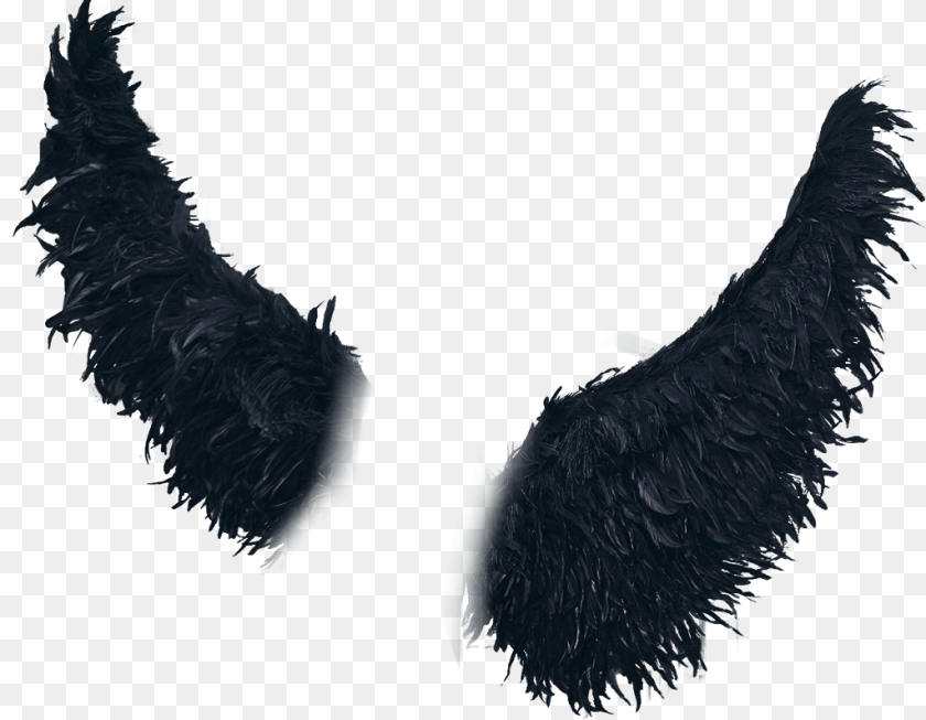Alas Wings Angel, Accessories, Animal, Bird, Vulture Transparent PNG