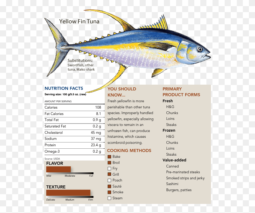 551x642 Albacore Tuna Yellowfin Tuna Decals, Sea Life, Fish, Animal HD PNG Download